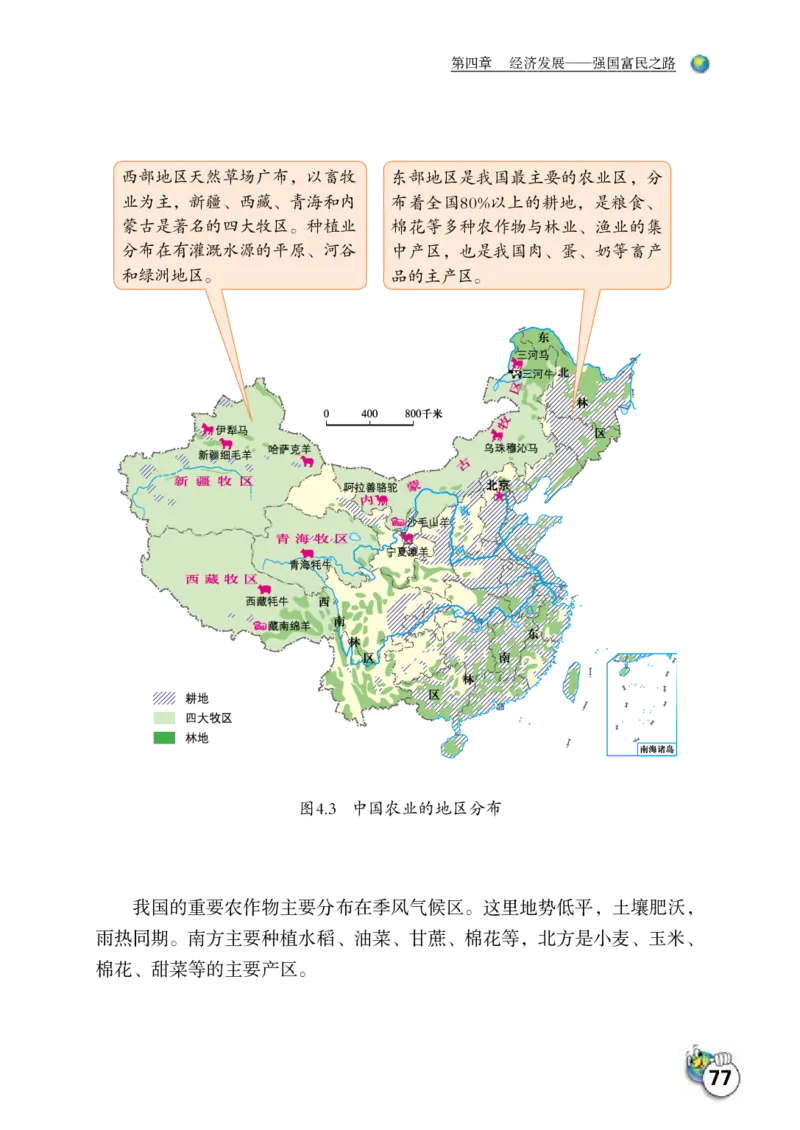 晋教版8年级地理上册高清教材_4-教培资料-26年最新资料-同步更新_初中高中教资_03科三专项（进去保存报考的学科即可）_02科三专项（笔记真题思维导图教学设计版本二）
