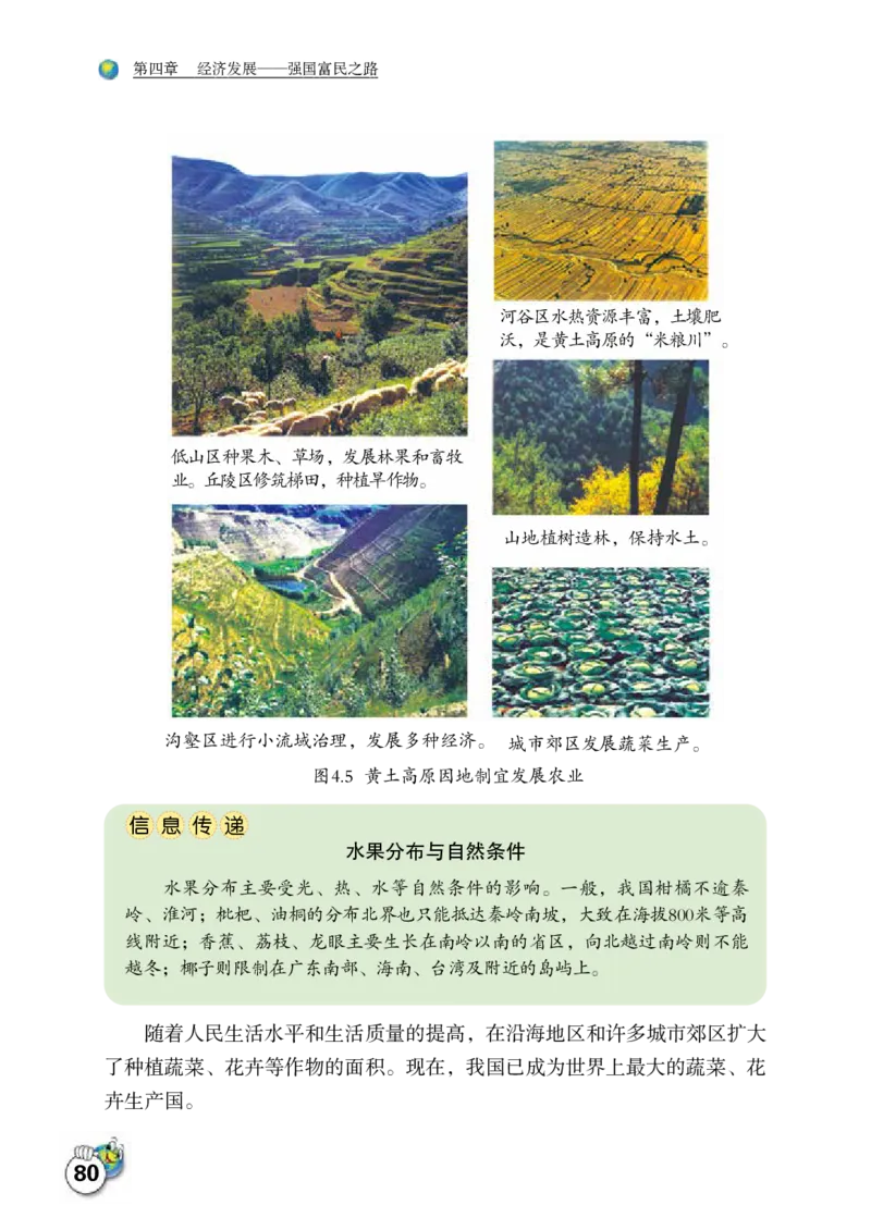 晋教版8年级地理上册高清教材_4-教培资料-26年最新资料-同步更新_初中高中教资_03科三专项（进去保存报考的学科即可）_02科三专项（笔记真题思维导图教学设计版本二）