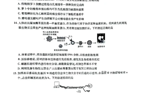 云南民族大学附属高级中学2026届高三联考卷（四）生物+答案_2025年12月_251220云南民族大学附属高级中学2026届高三联考卷（四）（全科）