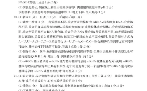 河北省2026届高三上学期12月联考（26-150C）生物答案_2025年12月_251225金太阳&middot;河北省2026届高三上学期12月联考（26-150C）（全科）