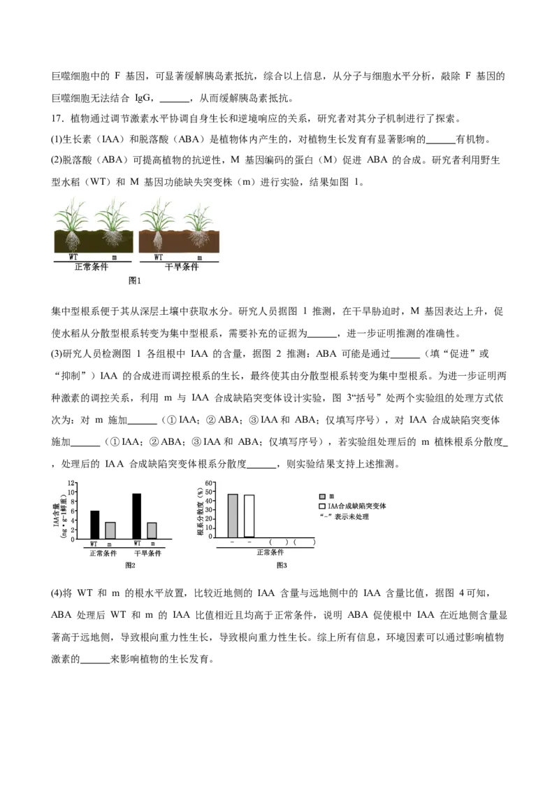安徽省合肥一六八中学2024-2025学年高二下学期期末考试生物试卷（含答案）_2025年7月_250729安徽省合肥市合肥一六八中学2024-2025学年高二下学期期末考试（全科）