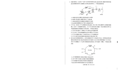 四川省成都市2023级高中毕业班摸底测试（成都零诊）生物_2025年7月_250709四川省成都市2023级高中毕业班摸底测试（成都零诊）（全科）
