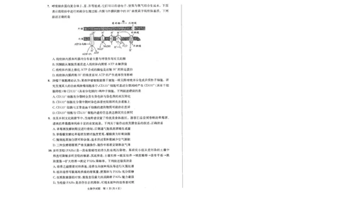 四川省成都市2023级高中毕业班摸底测试（成都零诊）生物_2025年7月_250709四川省成都市2023级高中毕业班摸底测试（成都零诊）（全科）
