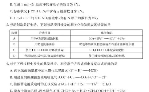 广东省部分学校2026届高三上学期11月期中联考化学试卷（含答案）_251106广东省部分学校2026届高三上学期11月期中联考（26-X-081C）