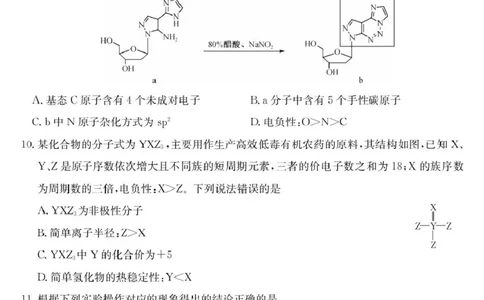 广东省部分学校2026届高三上学期11月期中联考化学试卷（含答案）_251106广东省部分学校2026届高三上学期11月期中联考（26-X-081C）