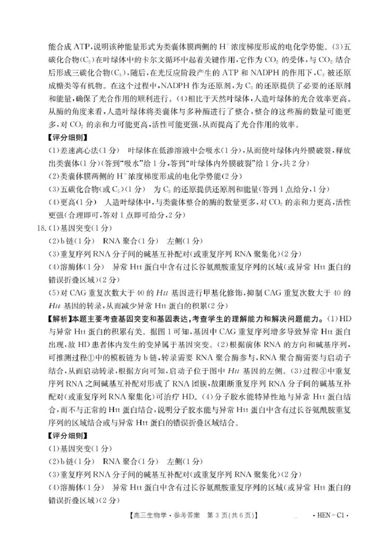 河南省2026届高三上学期11月联考（HEN）生物答案_2025年12月_251201河南省金太阳2026届高三上学期11月联考（全科）_河南省金太阳2026届高三上学期11月联考生物