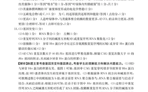 河南省2026届高三上学期11月联考（HEN）生物答案_2025年12月_251201河南省金太阳2026届高三上学期11月联考（全科）_河南省金太阳2026届高三上学期11月联考生物