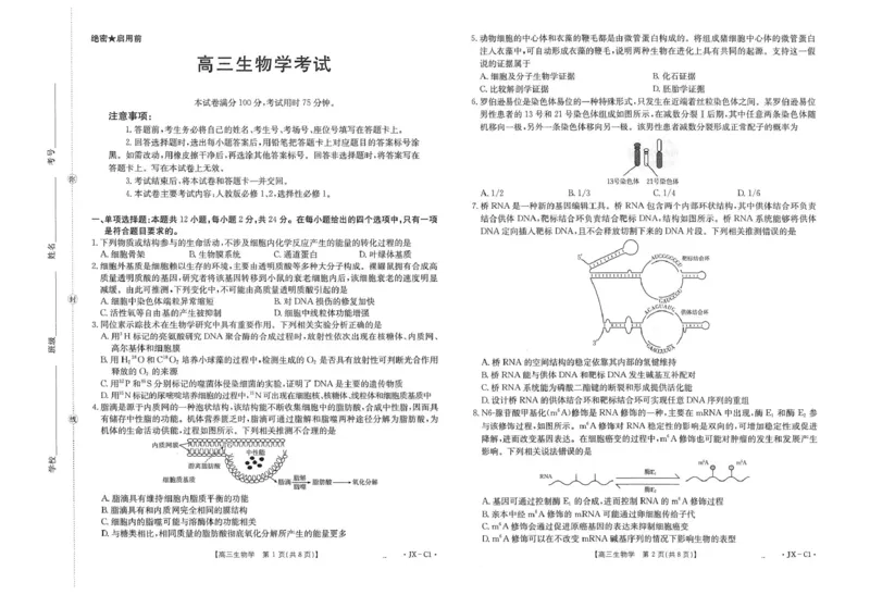 江西省2026届高三上学期11月联考（JX）生物_2025年12月_251203江西省金太阳2026届高三上学期11月联考（JX）