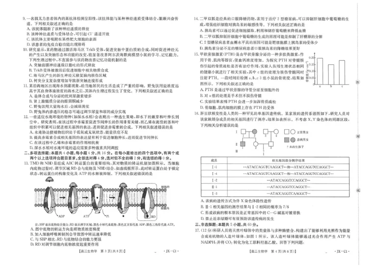 江西省2026届高三上学期11月联考（JX）生物_2025年12月_251203江西省金太阳2026届高三上学期11月联考（JX）