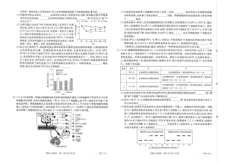 江西省2026届高三上学期11月联考（JX）生物_2025年12月_251203江西省金太阳2026届高三上学期11月联考（JX）
