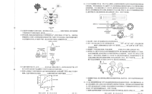 江西省2026届高三上学期11月联考（JX）生物_2025年12月_251203江西省金太阳2026届高三上学期11月联考（JX）