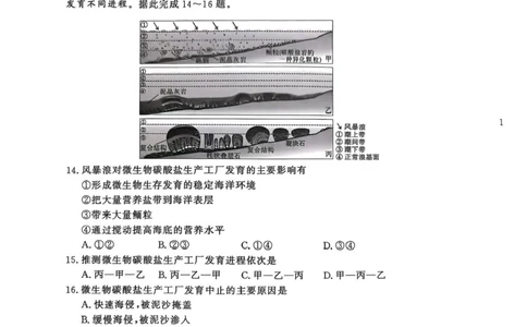 河南省青桐鸣2024-2025学年高二下学期6月大联考地理试卷（含答案）_2025年6月_250619河南省青桐鸣大联考2026届高二6月联考（全科）
