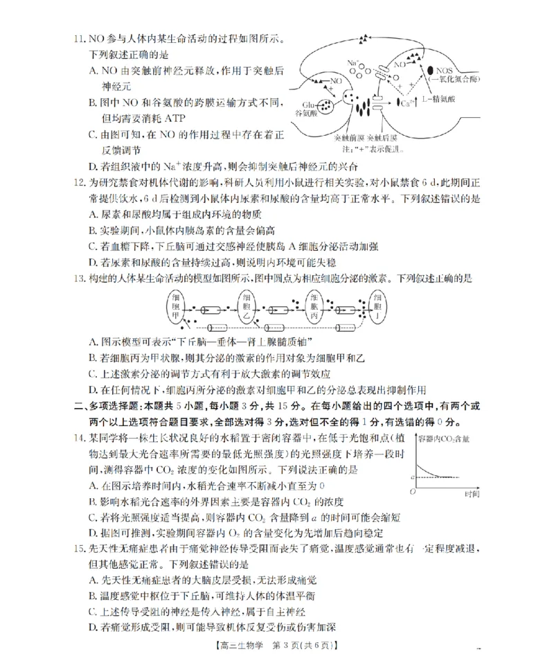 河北省2026届高三年级上学期期中考试（26-111C）生物_2025年12月_251210金太阳&middot;河北省2026届高三年级上学期期中考试（26-111C）（全科）