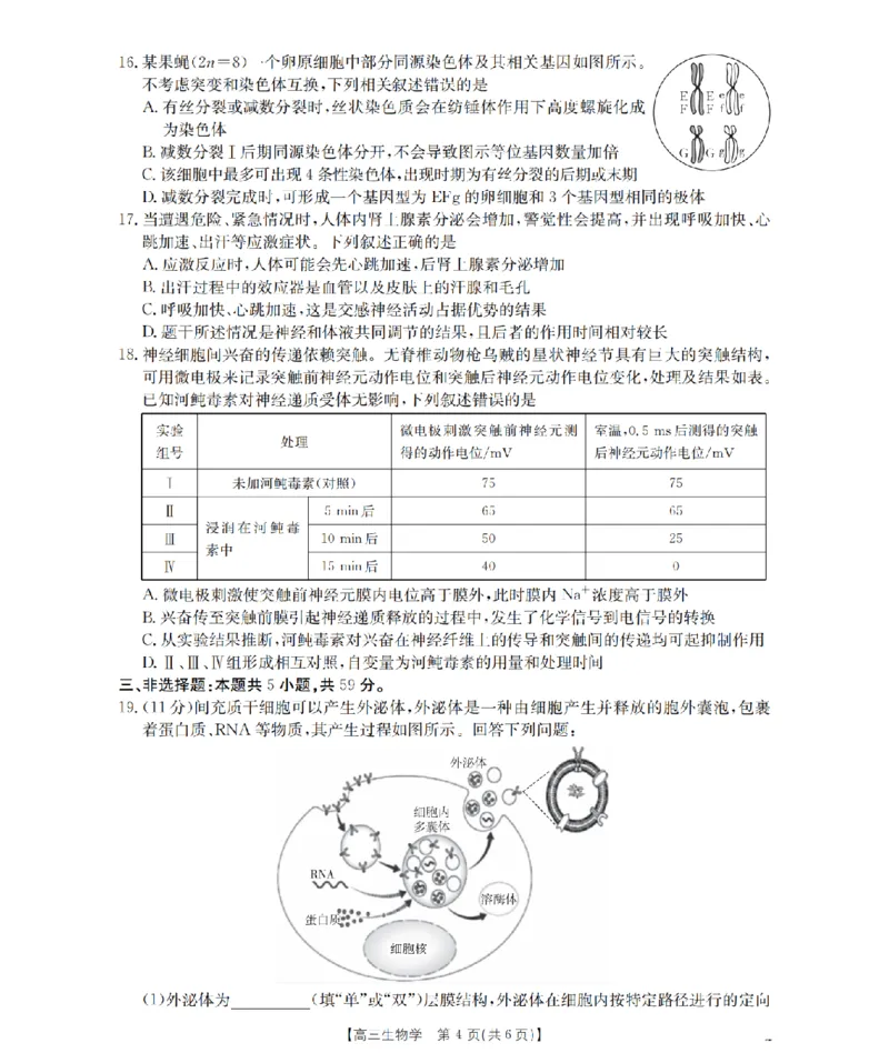 河北省2026届高三年级上学期期中考试（26-111C）生物_2025年12月_251210金太阳&middot;河北省2026届高三年级上学期期中考试（26-111C）（全科）