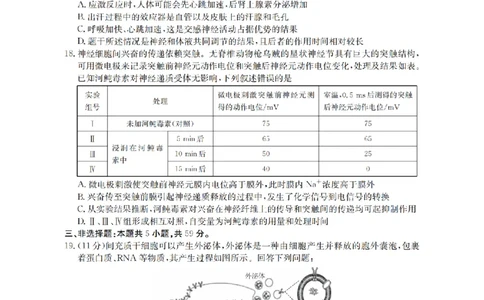 河北省2026届高三年级上学期期中考试（26-111C）生物_2025年12月_251210金太阳&middot;河北省2026届高三年级上学期期中考试（26-111C）（全科）