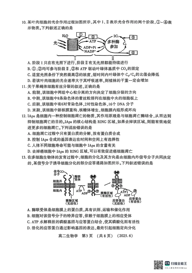 洛阳2024-2025学年6月高二质量检测-生物试卷_2025年6月_250614河南洛阳市2024-2025学年6月高二质量检测（全科）(1)