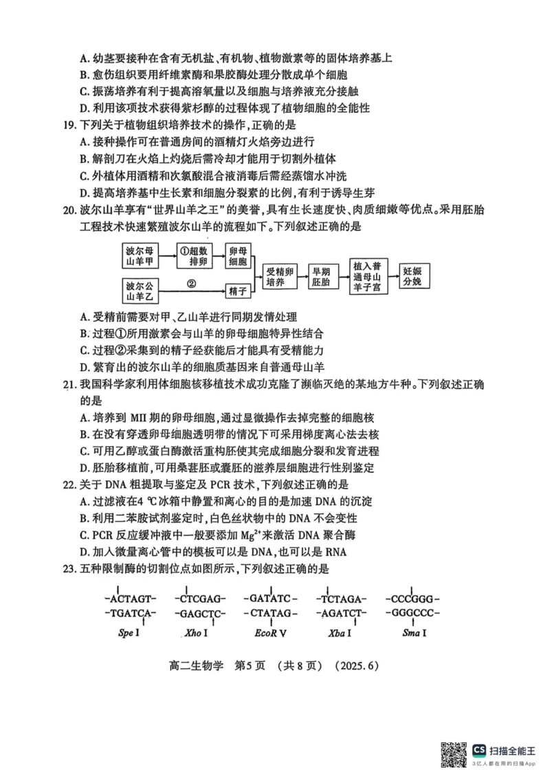 洛阳2024-2025学年6月高二质量检测-生物试卷_2025年6月_250614河南洛阳市2024-2025学年6月高二质量检测（全科）(1)