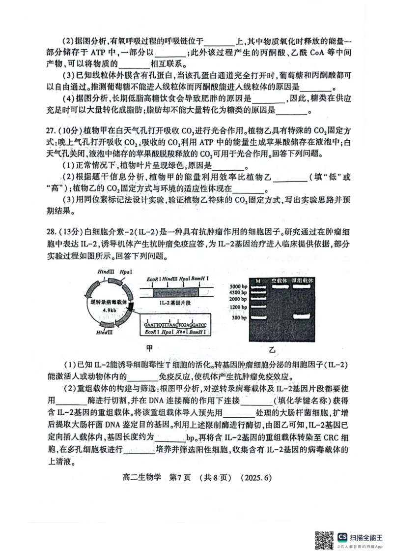 洛阳2024-2025学年6月高二质量检测-生物试卷_2025年6月_250614河南洛阳市2024-2025学年6月高二质量检测（全科）(1)