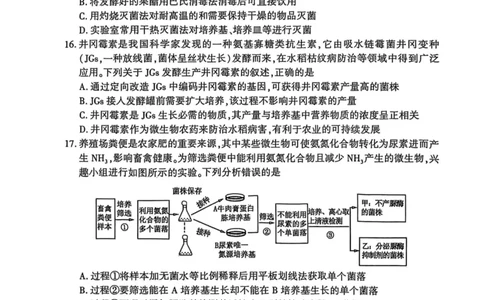 洛阳2024-2025学年6月高二质量检测-生物试卷_2025年6月_250614河南洛阳市2024-2025学年6月高二质量检测（全科）(1)