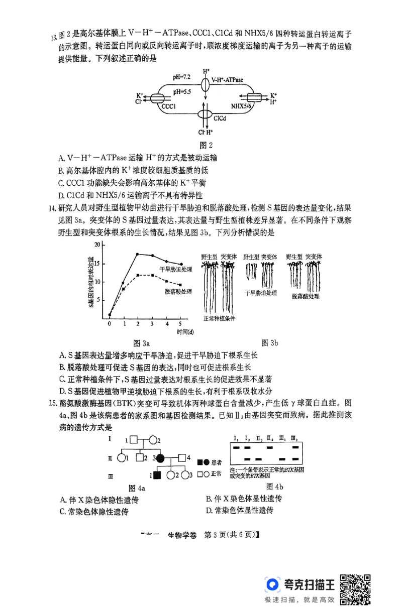 清远市2024-2025学年高二下学期6月期末考试生物(1)_2025年6月_250629广东省清远市2024-2025学年高二下学期6月期末考试（全科）_清远市2024-2025学年高二下学期6月期末考试生物