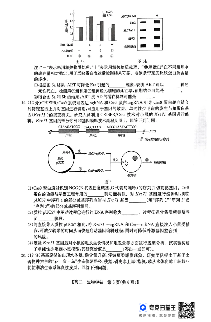 清远市2024-2025学年高二下学期6月期末考试生物(1)_2025年6月_250629广东省清远市2024-2025学年高二下学期6月期末考试（全科）_清远市2024-2025学年高二下学期6月期末考试生物