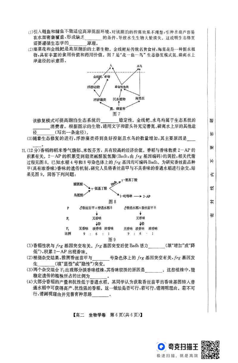 清远市2024-2025学年高二下学期6月期末考试生物(1)_2025年6月_250629广东省清远市2024-2025学年高二下学期6月期末考试（全科）_清远市2024-2025学年高二下学期6月期末考试生物