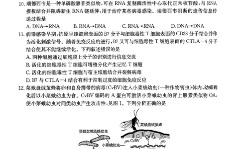 清远市2024-2025学年高二下学期6月期末考试生物(1)_2025年6月_250629广东省清远市2024-2025学年高二下学期6月期末考试（全科）_清远市2024-2025学年高二下学期6月期末考试生物