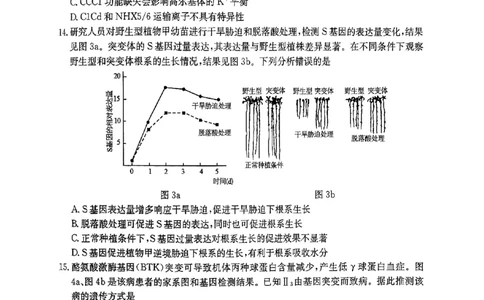 清远市2024-2025学年高二下学期6月期末考试生物(1)_2025年6月_250629广东省清远市2024-2025学年高二下学期6月期末考试（全科）_清远市2024-2025学年高二下学期6月期末考试生物