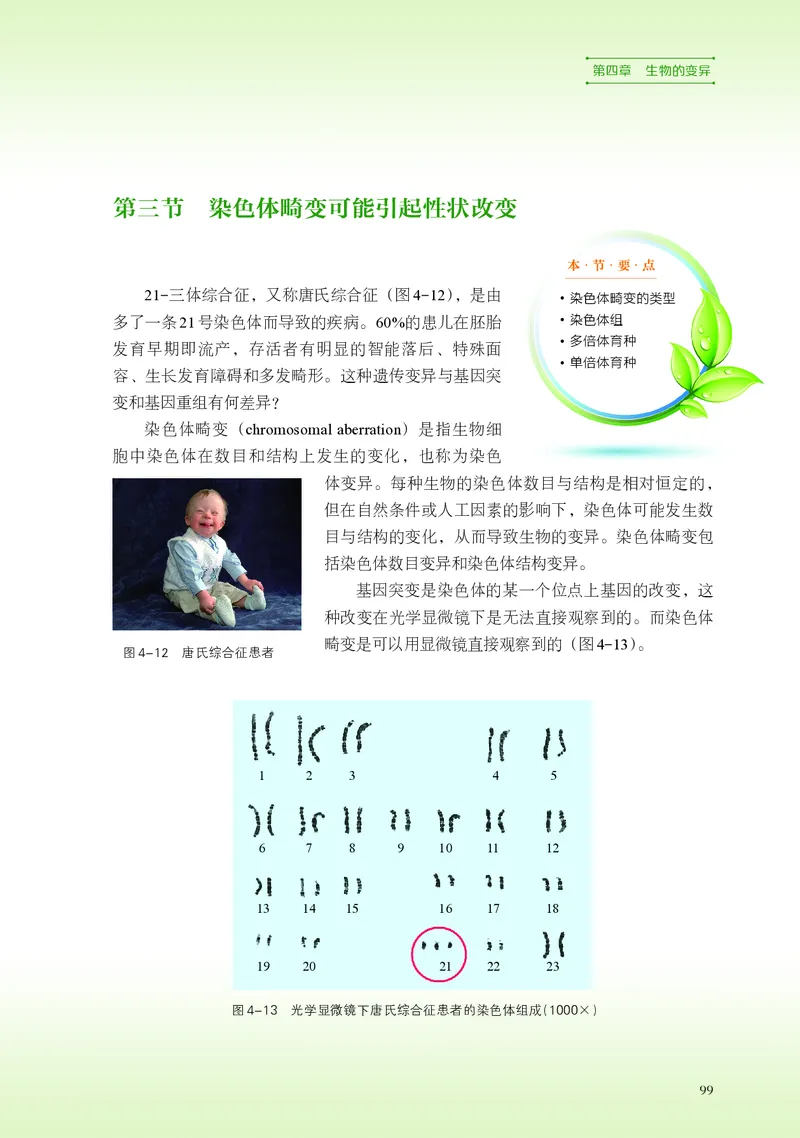 浙科版生物必修2高清教材_4-教培资料-26年最新资料-同步更新_初中高中教资_03科三专项（进去保存报考的学科即可）_02科三专项（笔记真题思维导图教学设计版本二）