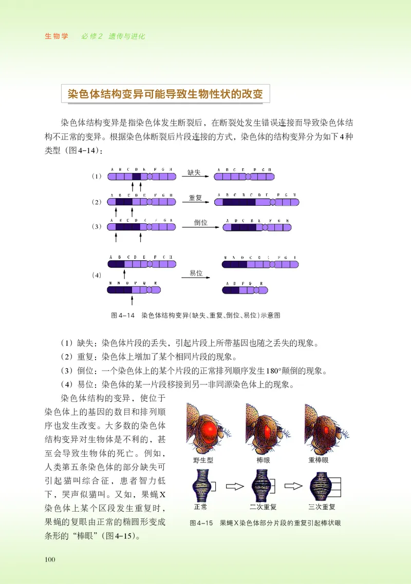 浙科版生物必修2高清教材_4-教培资料-26年最新资料-同步更新_初中高中教资_03科三专项（进去保存报考的学科即可）_02科三专项（笔记真题思维导图教学设计版本二）