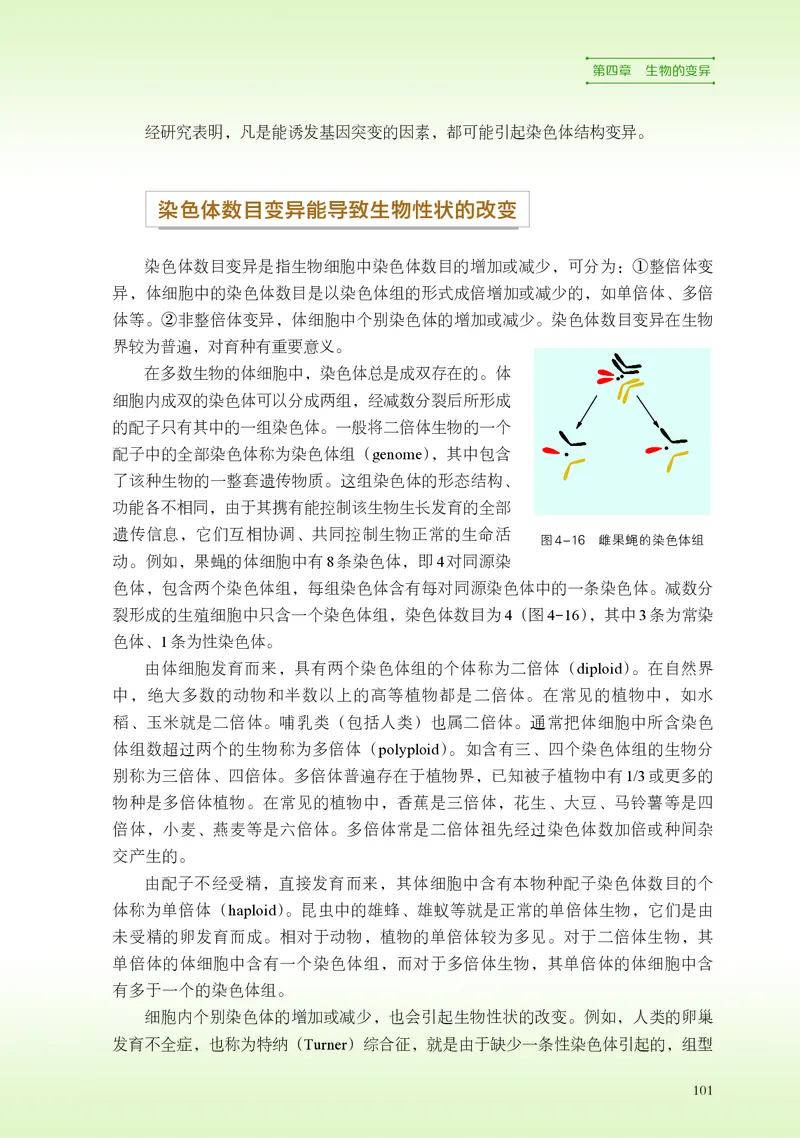 浙科版生物必修2高清教材_4-教培资料-26年最新资料-同步更新_初中高中教资_03科三专项（进去保存报考的学科即可）_02科三专项（笔记真题思维导图教学设计版本二）
