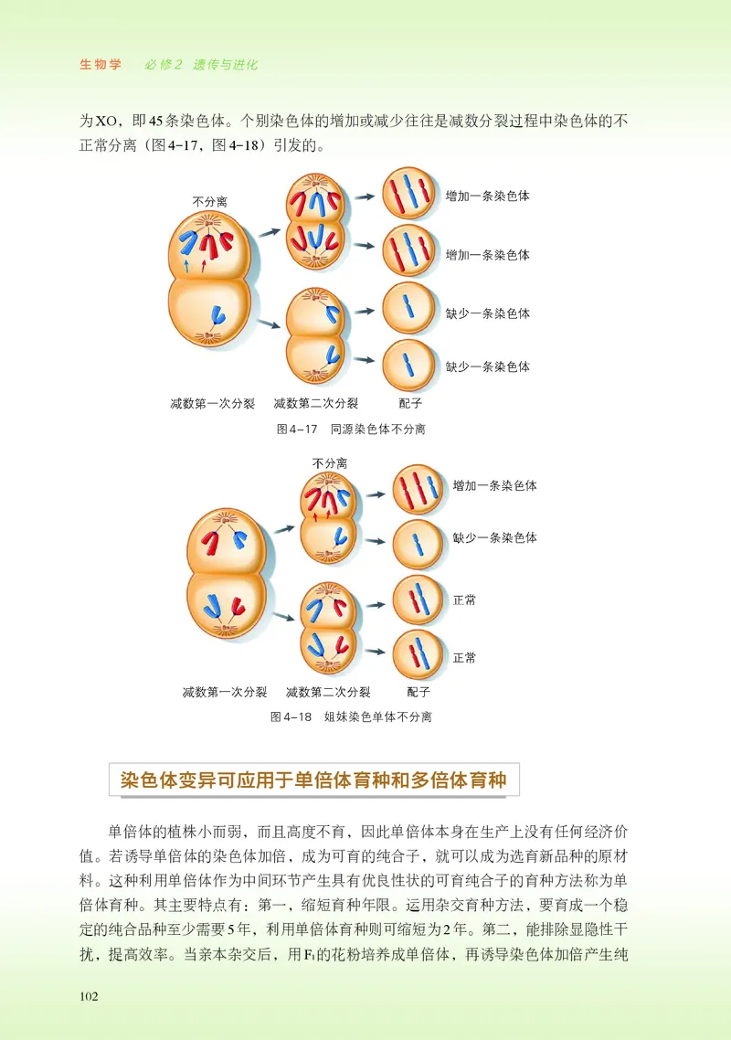 浙科版生物必修2高清教材_4-教培资料-26年最新资料-同步更新_初中高中教资_03科三专项（进去保存报考的学科即可）_02科三专项（笔记真题思维导图教学设计版本二）