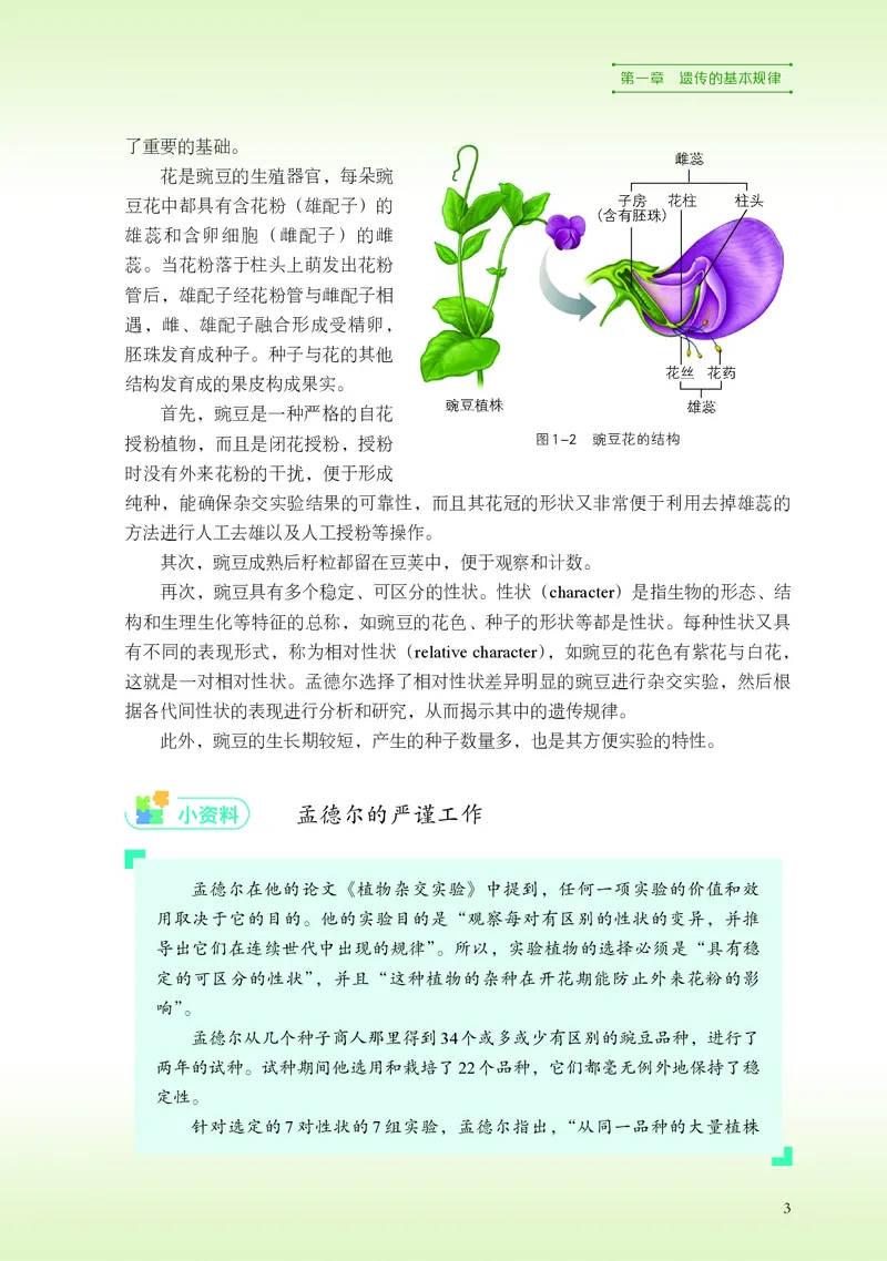 浙科版生物必修2高清教材_4-教培资料-26年最新资料-同步更新_初中高中教资_03科三专项（进去保存报考的学科即可）_02科三专项（笔记真题思维导图教学设计版本二）