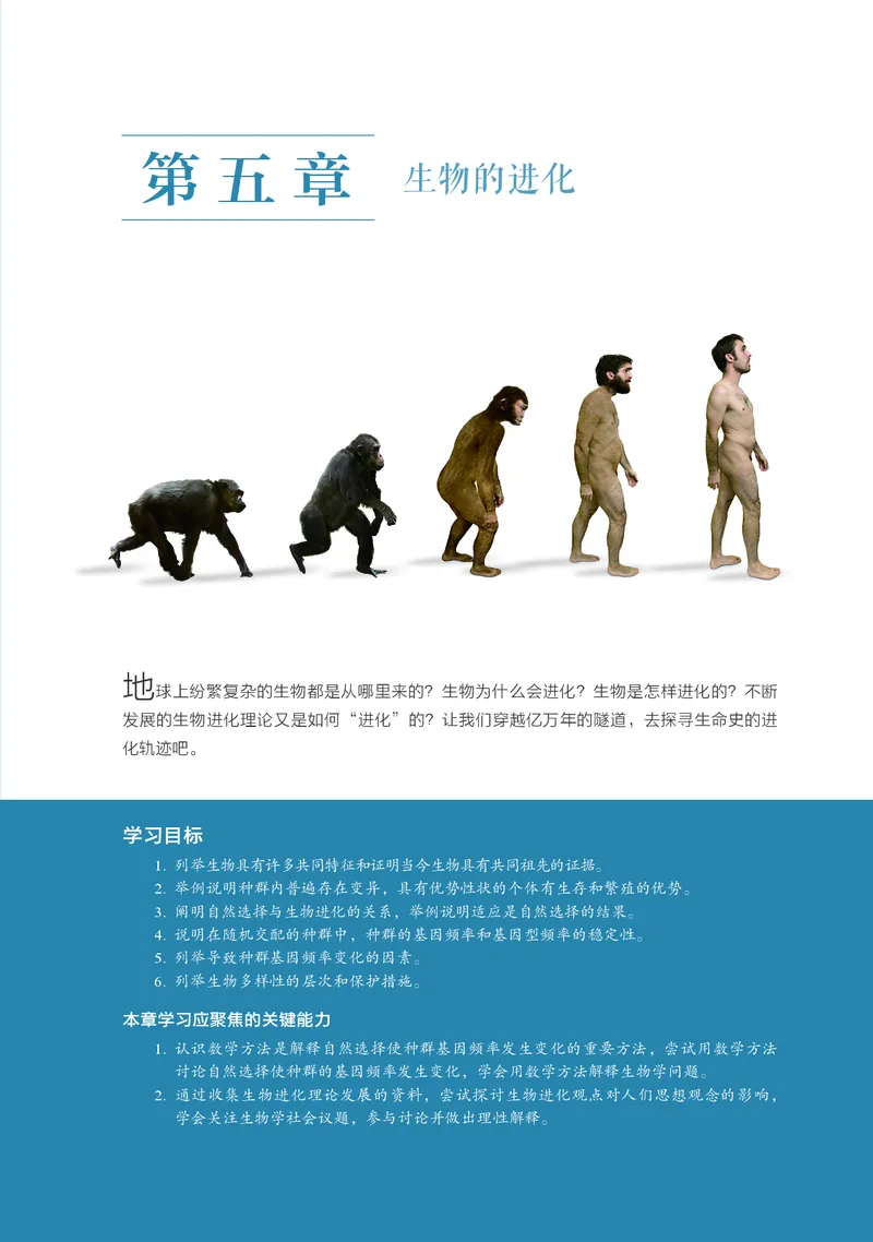 浙科版生物必修2高清教材_4-教培资料-26年最新资料-同步更新_初中高中教资_03科三专项（进去保存报考的学科即可）_02科三专项（笔记真题思维导图教学设计版本二）