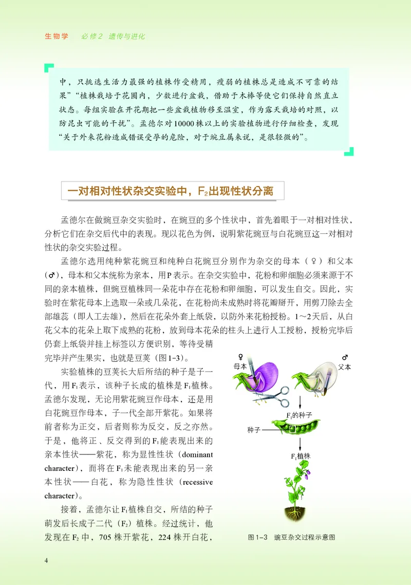 浙科版生物必修2高清教材_4-教培资料-26年最新资料-同步更新_初中高中教资_03科三专项（进去保存报考的学科即可）_02科三专项（笔记真题思维导图教学设计版本二）