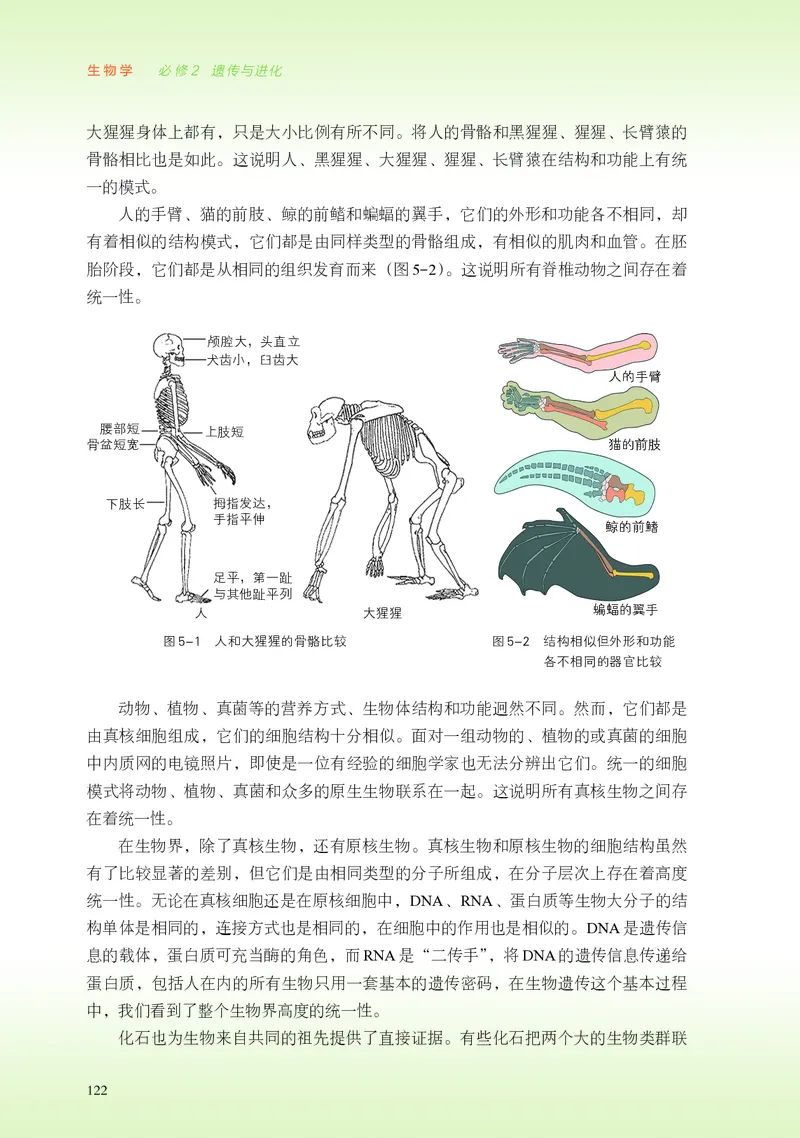 浙科版生物必修2高清教材_4-教培资料-26年最新资料-同步更新_初中高中教资_03科三专项（进去保存报考的学科即可）_02科三专项（笔记真题思维导图教学设计版本二）