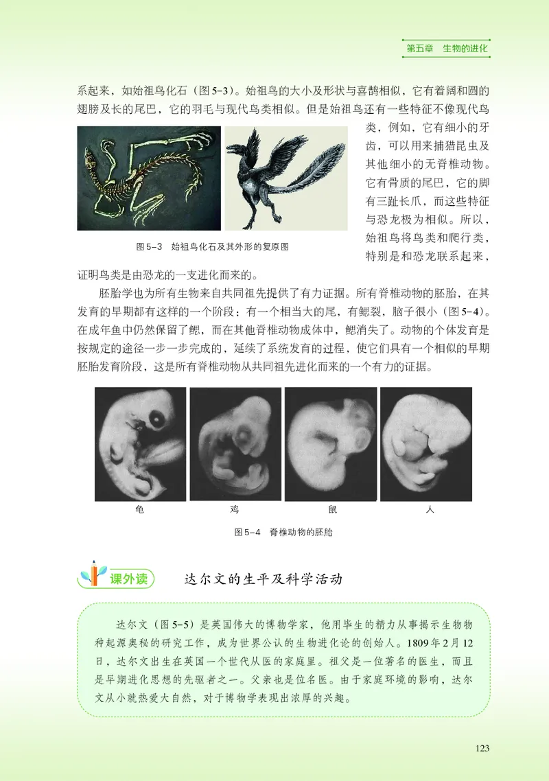 浙科版生物必修2高清教材_4-教培资料-26年最新资料-同步更新_初中高中教资_03科三专项（进去保存报考的学科即可）_02科三专项（笔记真题思维导图教学设计版本二）