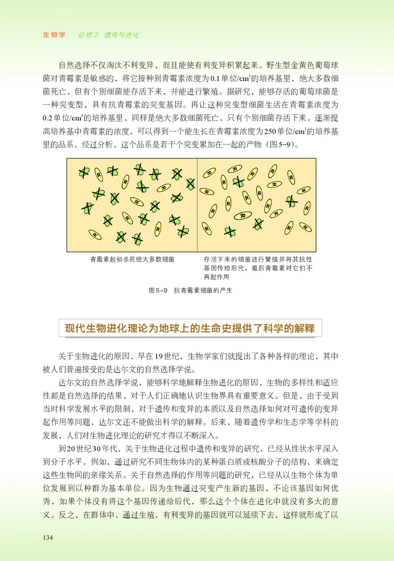 浙科版生物必修2高清教材_4-教培资料-26年最新资料-同步更新_初中高中教资_03科三专项（进去保存报考的学科即可）_02科三专项（笔记真题思维导图教学设计版本二）