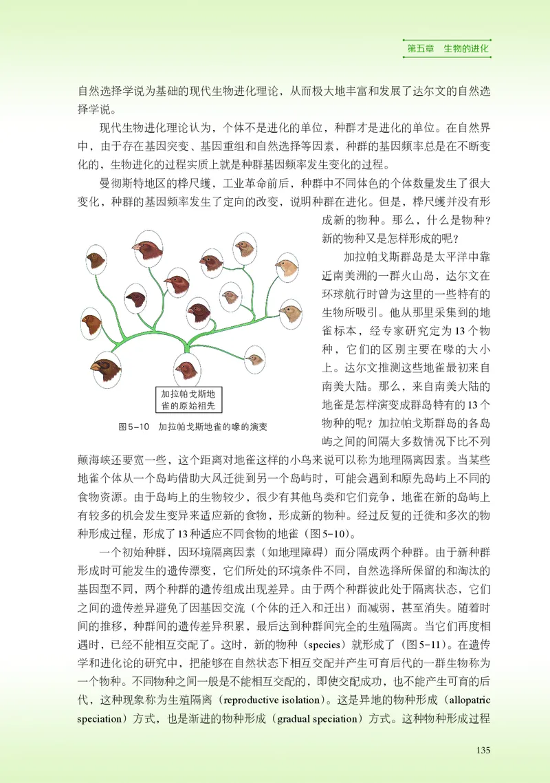 浙科版生物必修2高清教材_4-教培资料-26年最新资料-同步更新_初中高中教资_03科三专项（进去保存报考的学科即可）_02科三专项（笔记真题思维导图教学设计版本二）