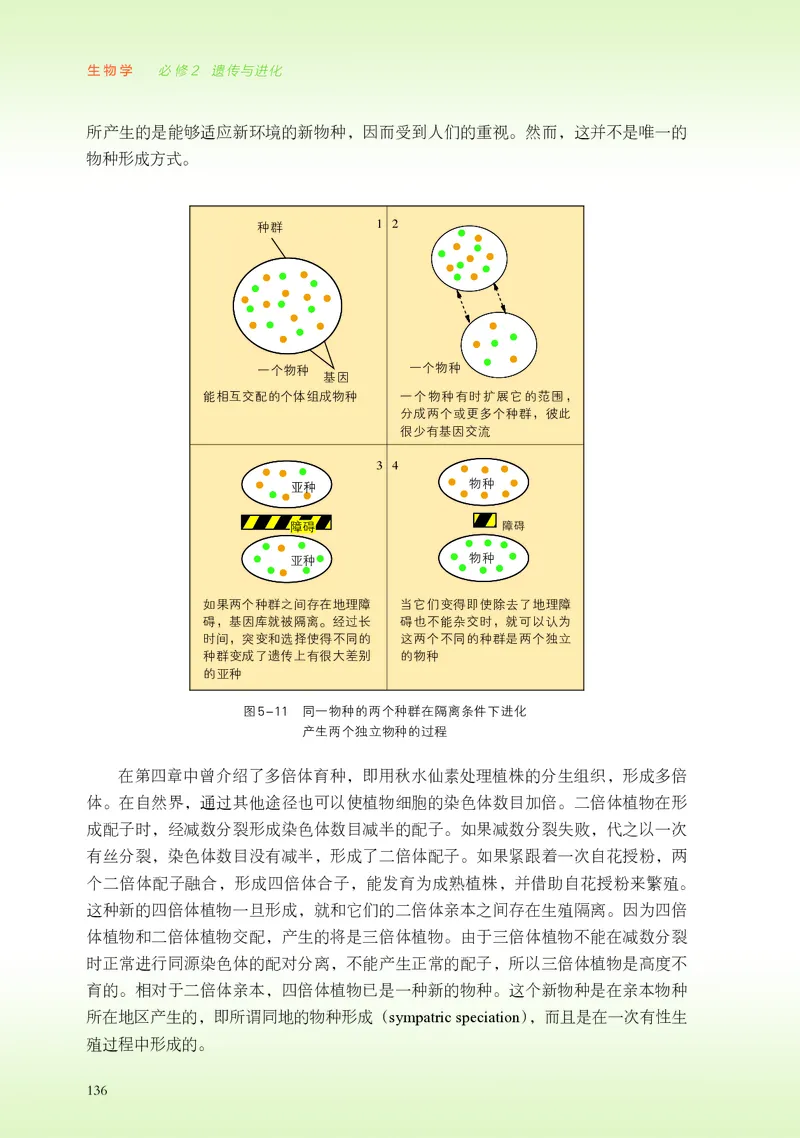 浙科版生物必修2高清教材_4-教培资料-26年最新资料-同步更新_初中高中教资_03科三专项（进去保存报考的学科即可）_02科三专项（笔记真题思维导图教学设计版本二）