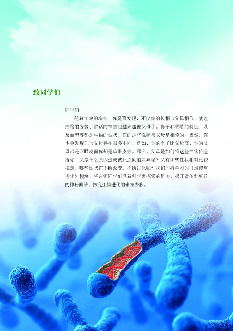 浙科版生物必修2高清教材_4-教培资料-26年最新资料-同步更新_初中高中教资_03科三专项（进去保存报考的学科即可）_02科三专项（笔记真题思维导图教学设计版本二）