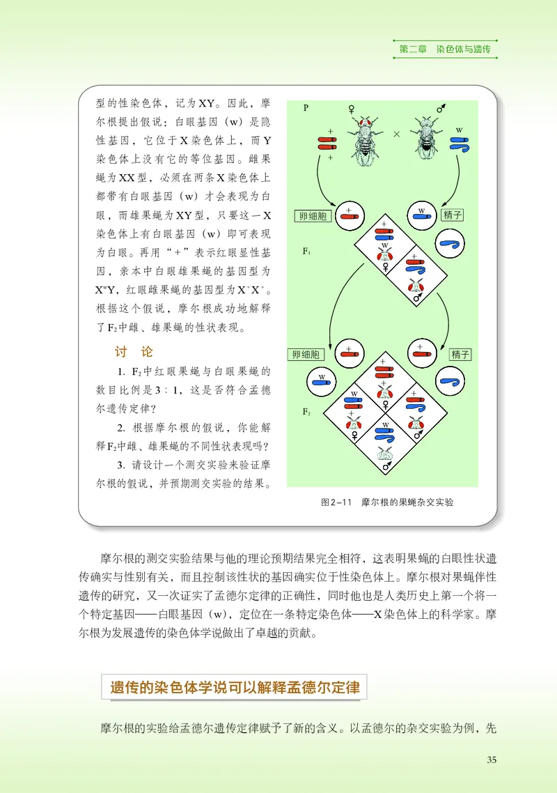 浙科版生物必修2高清教材_4-教培资料-26年最新资料-同步更新_初中高中教资_03科三专项（进去保存报考的学科即可）_02科三专项（笔记真题思维导图教学设计版本二）