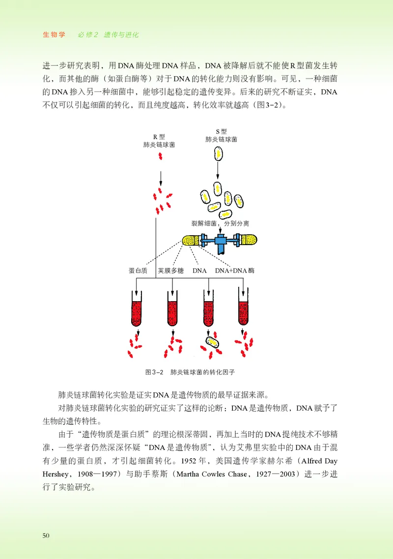 浙科版生物必修2高清教材_4-教培资料-26年最新资料-同步更新_初中高中教资_03科三专项（进去保存报考的学科即可）_02科三专项（笔记真题思维导图教学设计版本二）