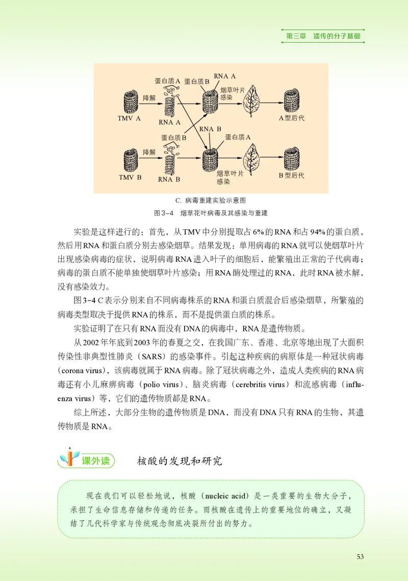 浙科版生物必修2高清教材_4-教培资料-26年最新资料-同步更新_初中高中教资_03科三专项（进去保存报考的学科即可）_02科三专项（笔记真题思维导图教学设计版本二）
