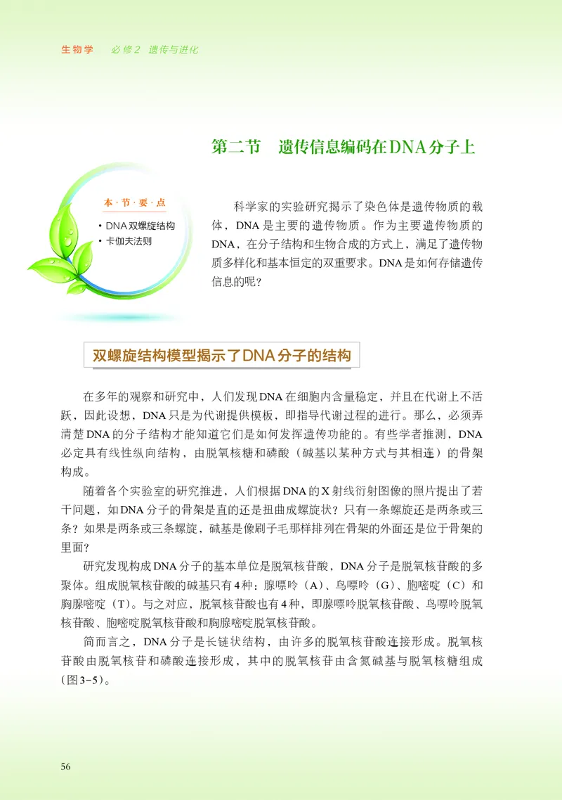 浙科版生物必修2高清教材_4-教培资料-26年最新资料-同步更新_初中高中教资_03科三专项（进去保存报考的学科即可）_02科三专项（笔记真题思维导图教学设计版本二）