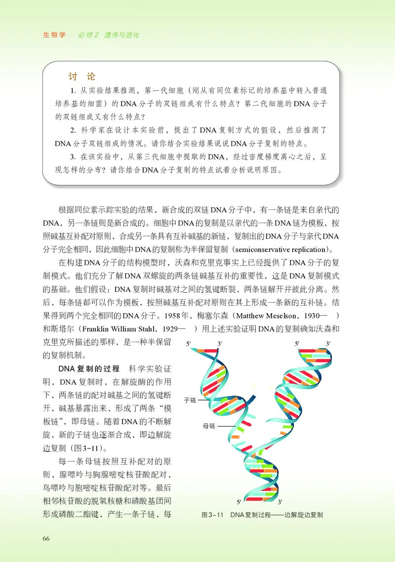 浙科版生物必修2高清教材_4-教培资料-26年最新资料-同步更新_初中高中教资_03科三专项（进去保存报考的学科即可）_02科三专项（笔记真题思维导图教学设计版本二）