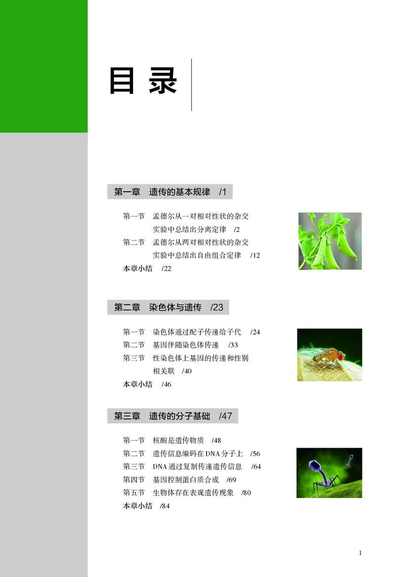 浙科版生物必修2高清教材_4-教培资料-26年最新资料-同步更新_初中高中教资_03科三专项（进去保存报考的学科即可）_02科三专项（笔记真题思维导图教学设计版本二）