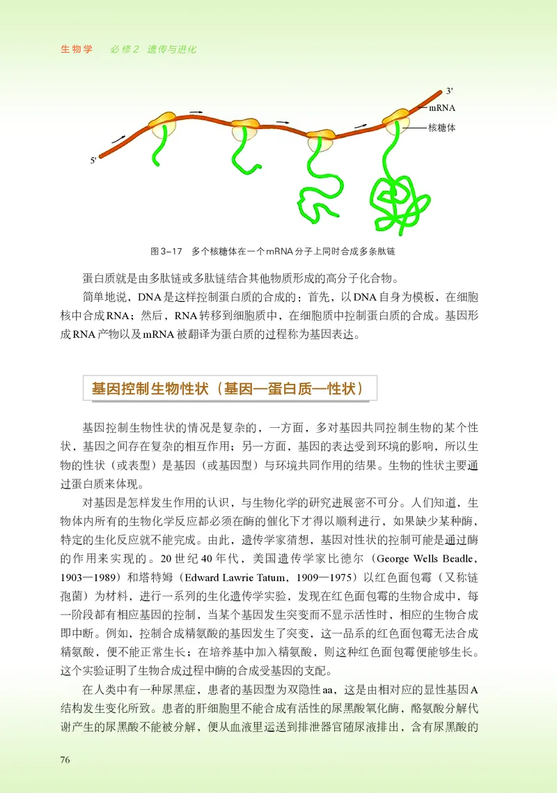 浙科版生物必修2高清教材_4-教培资料-26年最新资料-同步更新_初中高中教资_03科三专项（进去保存报考的学科即可）_02科三专项（笔记真题思维导图教学设计版本二）