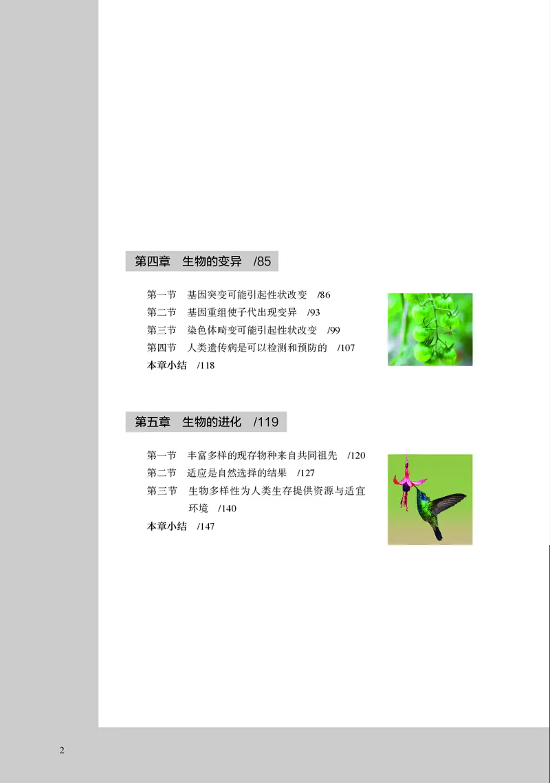浙科版生物必修2高清教材_4-教培资料-26年最新资料-同步更新_初中高中教资_03科三专项（进去保存报考的学科即可）_02科三专项（笔记真题思维导图教学设计版本二）