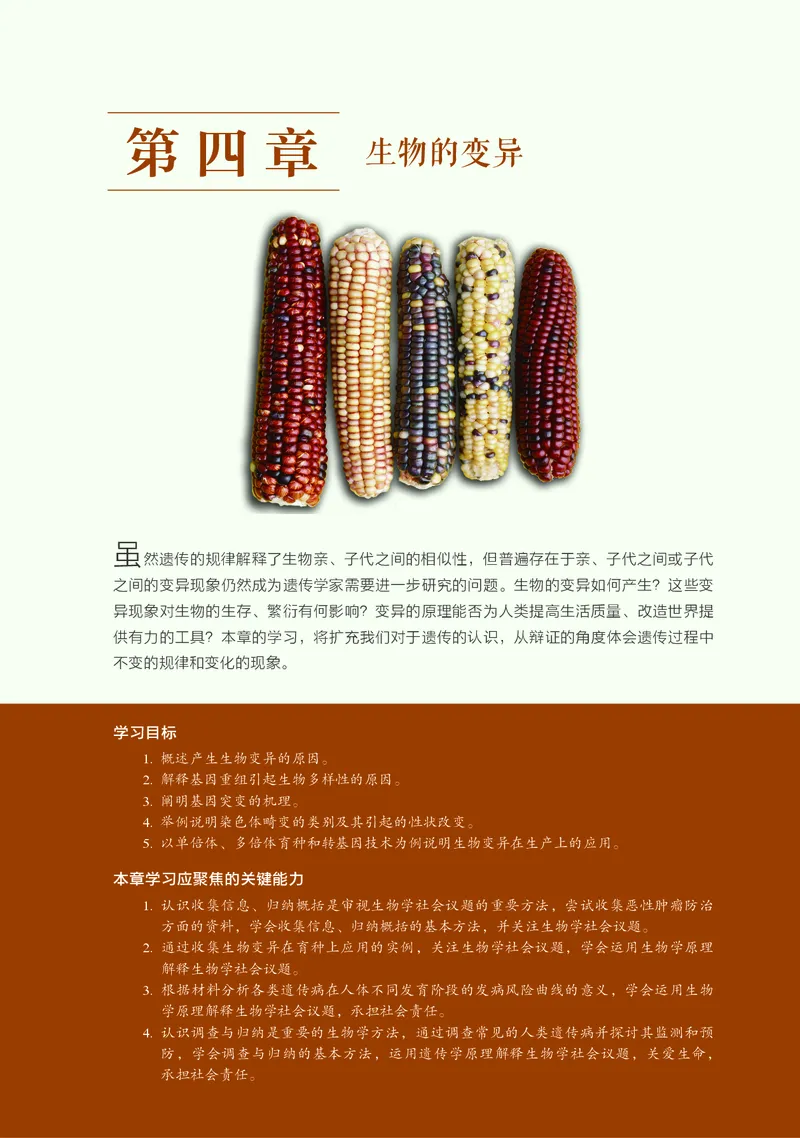 浙科版生物必修2高清教材_4-教培资料-26年最新资料-同步更新_初中高中教资_03科三专项（进去保存报考的学科即可）_02科三专项（笔记真题思维导图教学设计版本二）